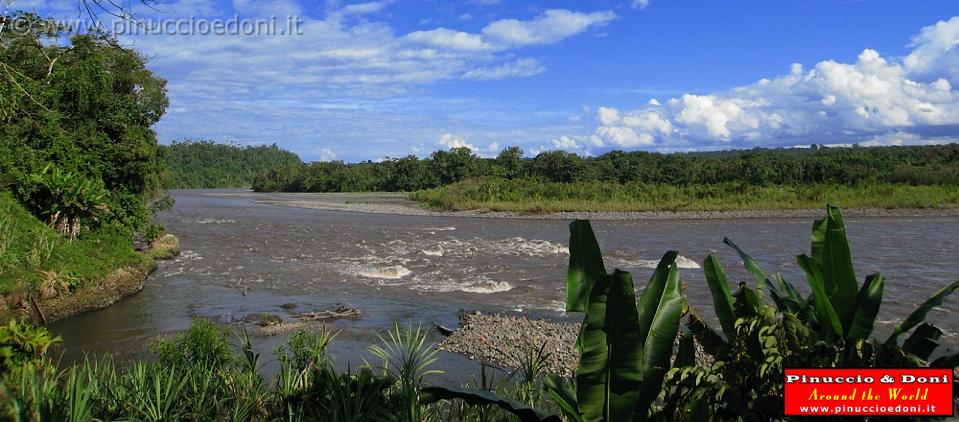 ECUADOR - Foresta Amazzonica - 46.jpg